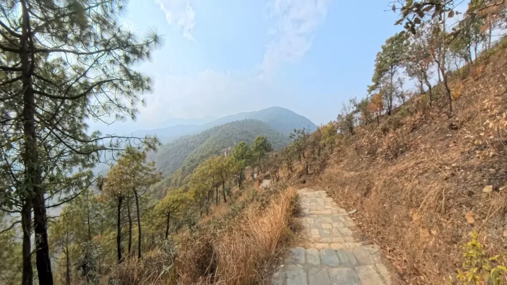 Greenery along the Champa Devi Hike path