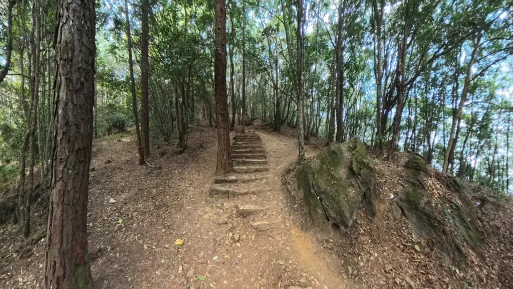 Nature walk on the Jamacho Hiking Trail