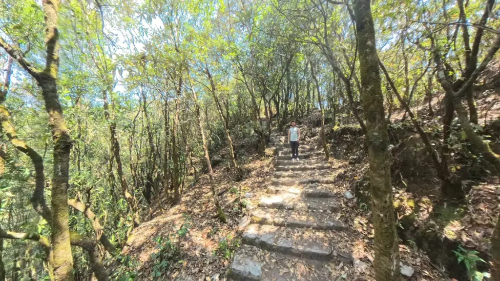 A hiker ascending a stone staircase on the Bagdwar trail