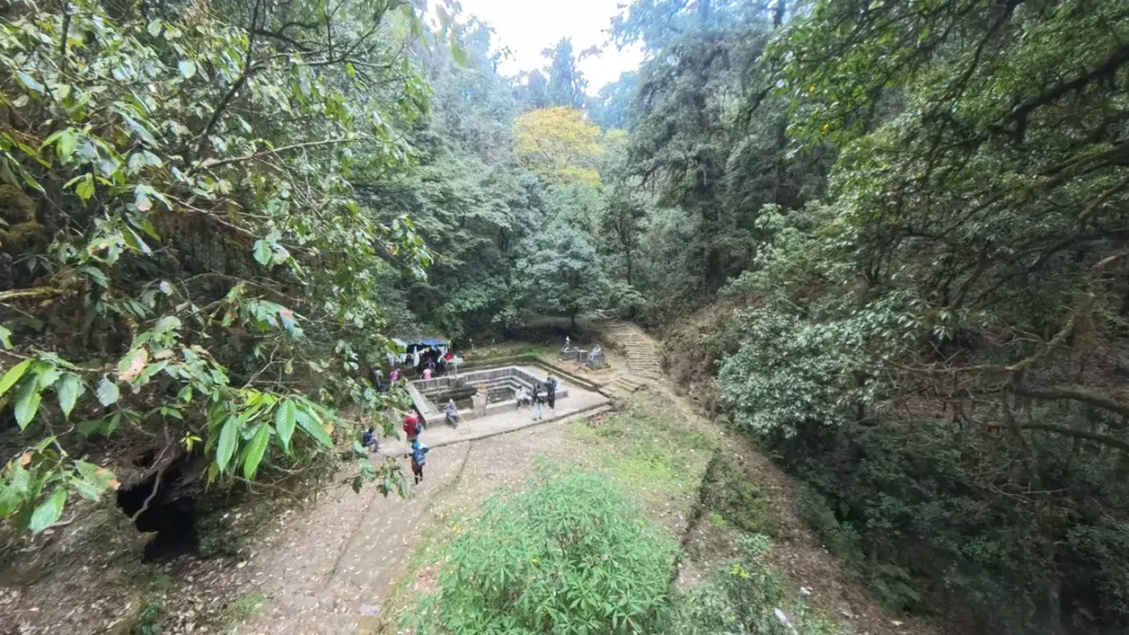 Bagdwar surrounded by breathtaking views of the forest