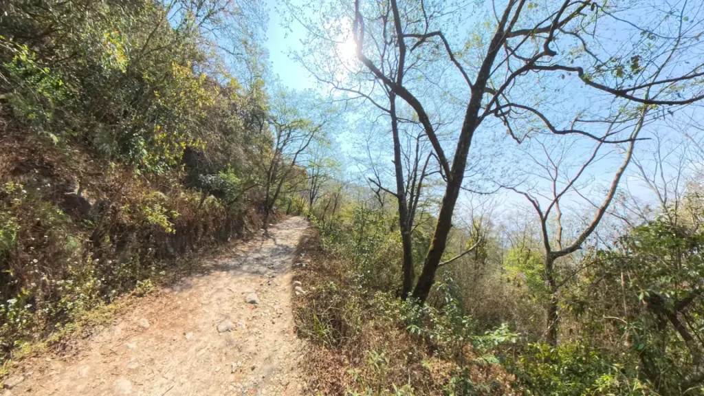 Hikers walking along a forest path leading to Nagi Gumba