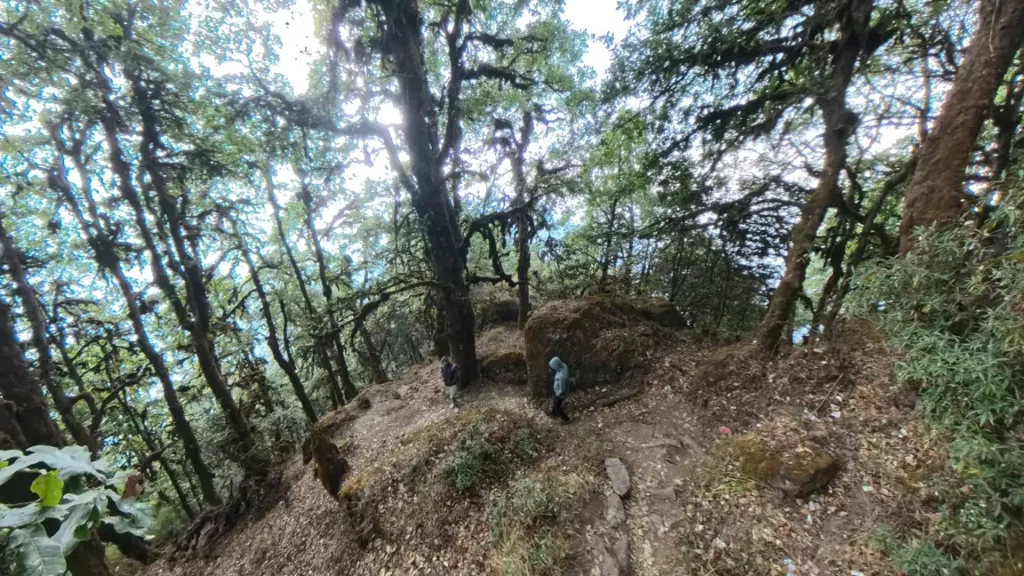 Steep forested slopes along the Bishnudwar hiking trail