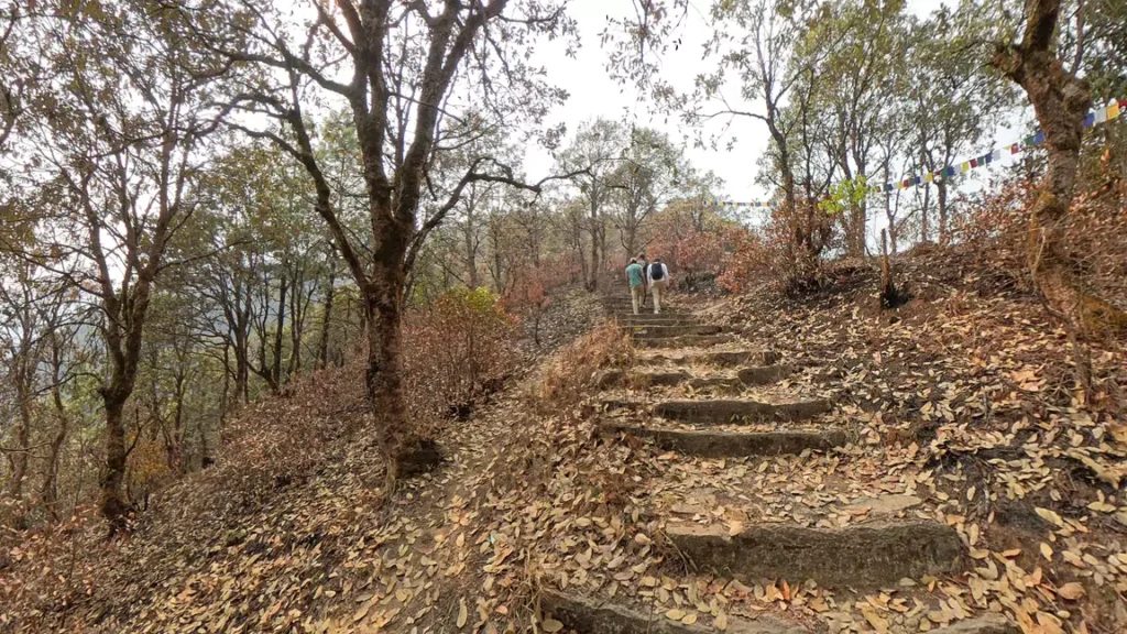 Stone stairs through the forest on the Bhasmasur Hill hike
