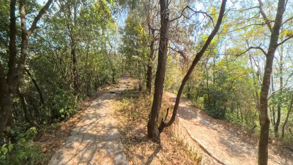 Trail to Nagi Gumba with hikers following a path through a lightly wooded area