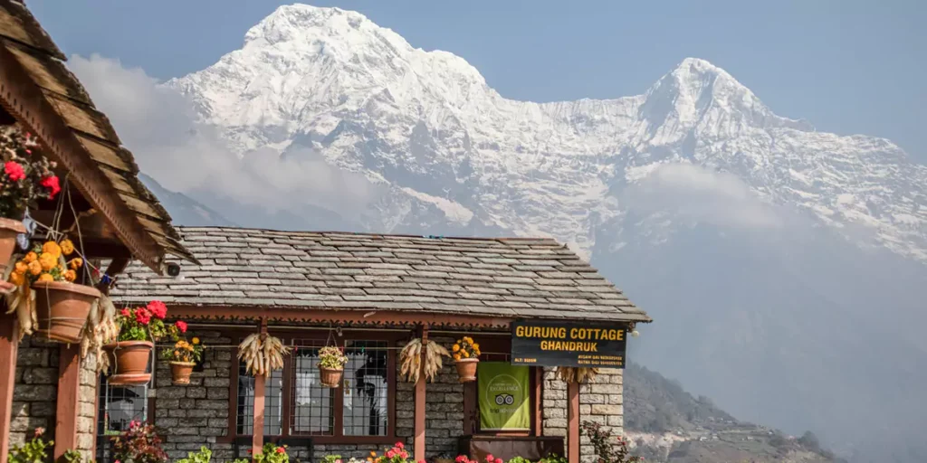 Traditional gurung cottage with vibrant flowers and hanging corn on the way to Poon Hill set against the stunning backdrop of snow-capped Himalayan peaks in Nepal