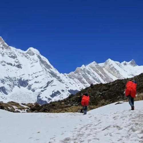 Three hikers with red backpacks trek across snowy terrain towards towering, snow-covered mountains under a clear blue sky, conveying adventure.
