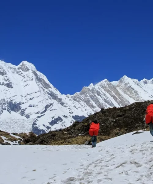 Three hikers with red backpacks trek across snowy terrain towards towering, snow-covered mountains under a clear blue sky, conveying adventure.